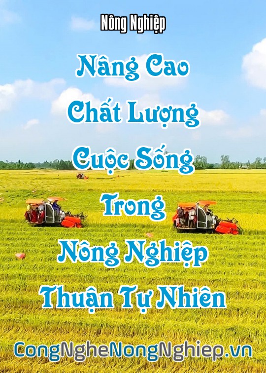 Ảnh bìa sách Nâng Cao Chất Lượng Cuộc Sống Trong Nông Nghiệp Thuận Tự Nhiên