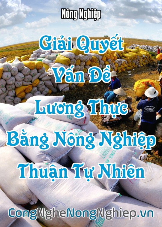 Ảnh bìa sách Giải Quyết Vấn Đề Lương Thực Bằng Nông Nghiệp Thuận Tự Nhiên