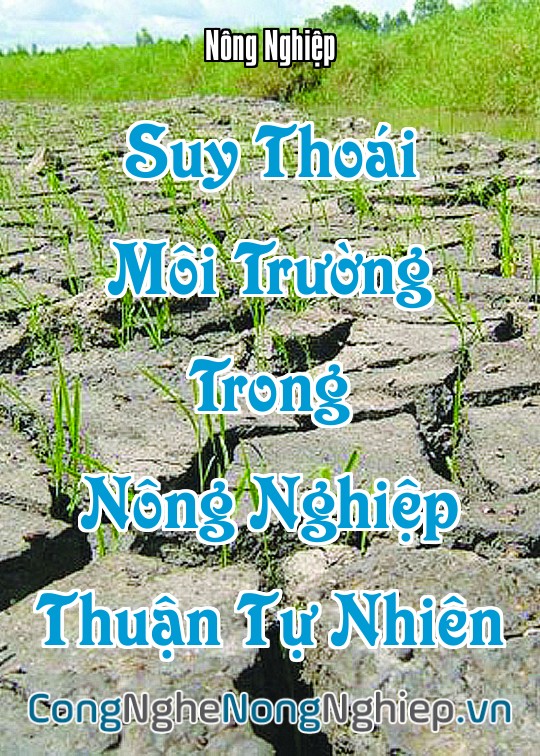 Ảnh bìa sách Suy Thoái Môi Trường Trong Nông Nghiệp Thuận Tự Nhiên
