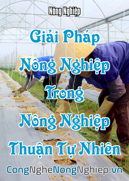 Ảnh bìa sách Giải Pháp Nông Nghiệp Trong Nông Nghiệp Thuận Tự Nhiên