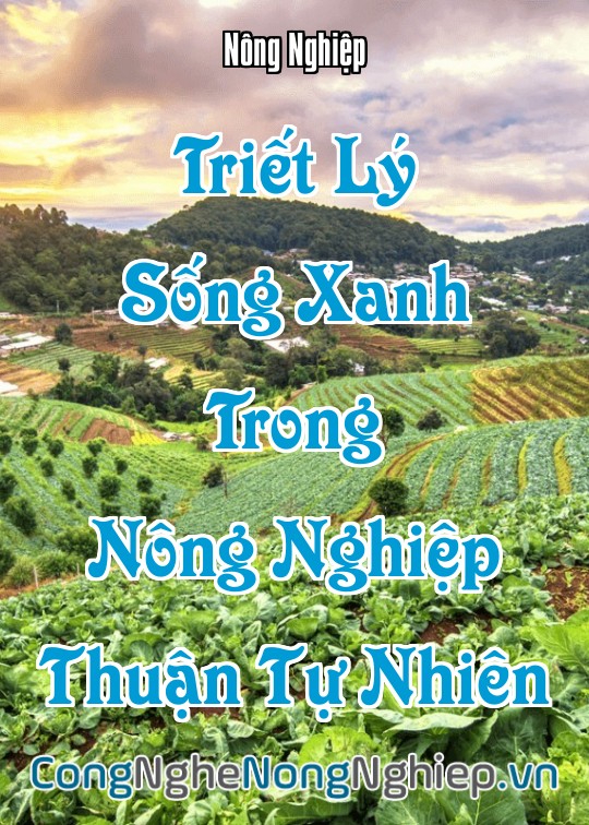 Ảnh bìa sách Triết Lý Sống Xanh Trong Nông Nghiệp Thuận Tự Nhiên