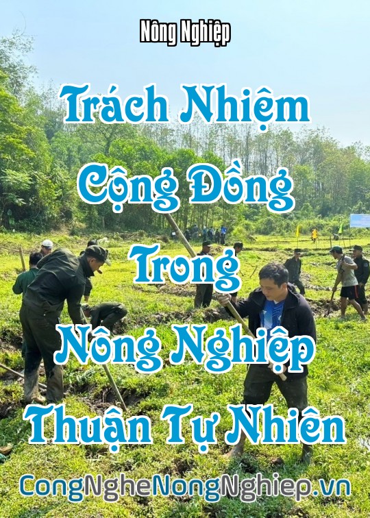 Ảnh bìa sách Trách Nhiệm Cộng Đồng Trong Nông Nghiệp Thuận Tự Nhiên