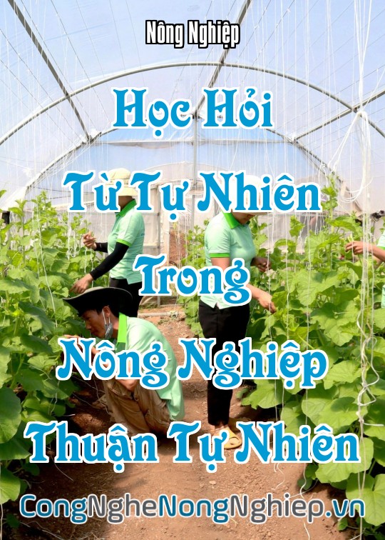 Ảnh bìa sách Học Hỏi Từ Tự Nhiên Trong Nông Nghiệp Thuận Tự Nhiên