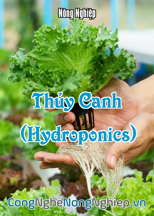 Ảnh bìa sách Thủy Canh (Hydroponics)