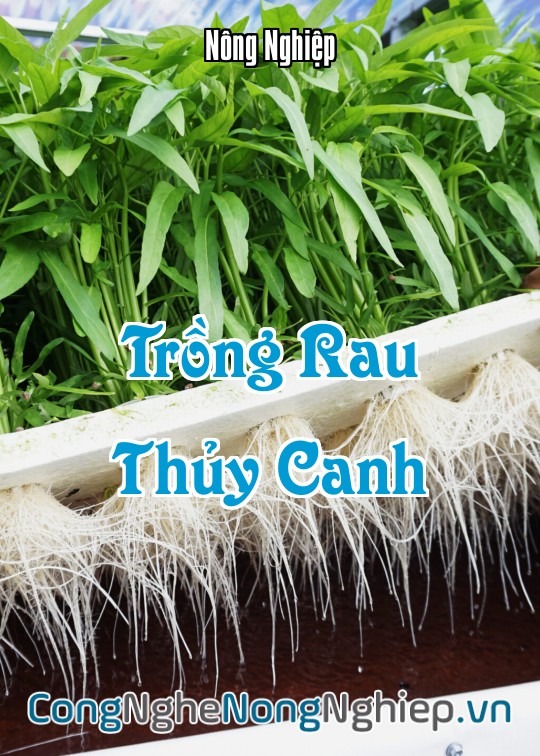 Ảnh bìa sách Trồng Rau Thủy Canh