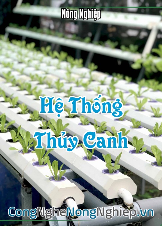 Ảnh bìa sách Hệ Thống Thủy Canh