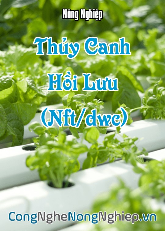 Ảnh bìa sách Thủy Canh Hồi Lưu (Nft/dwc)