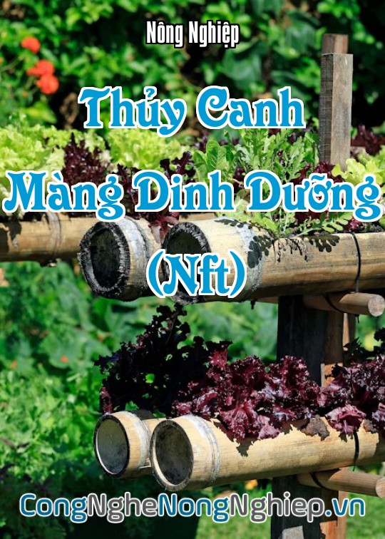 Ảnh bìa sách Thủy Canh Màng Dinh Dưỡng (Nft)