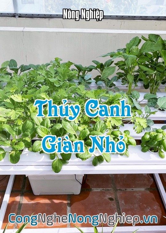 Ảnh bìa sách Thủy Canh Giàn Nhỏ