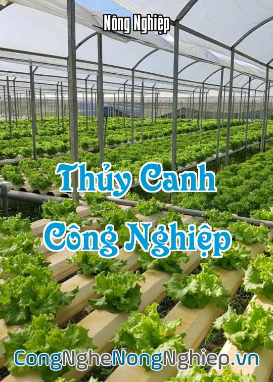 Ảnh bìa sách Thủy Canh Công Nghiệp