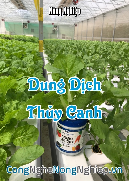 Ảnh bìa sách Dung Dịch Thủy Canh