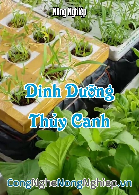 Ảnh bìa sách Dinh Dưỡng Thủy Canh
