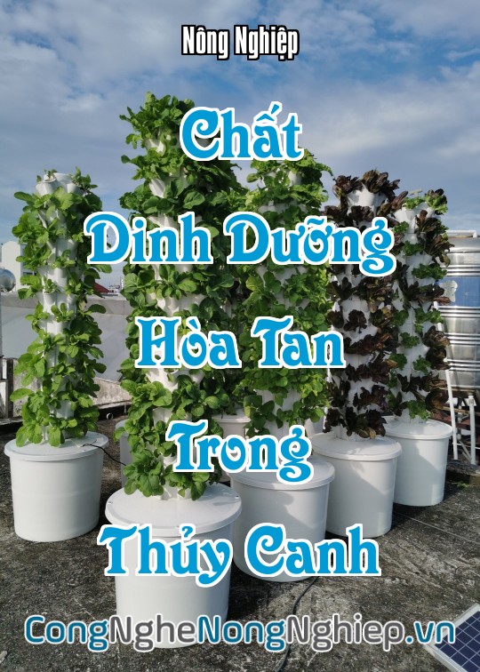 Ảnh bìa sách Chất Dinh Dưỡng Hòa Tan Trong Thủy Canh