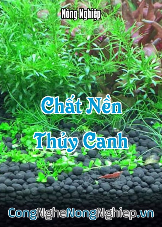 Ảnh bìa sách Chất Nền Thủy Canh