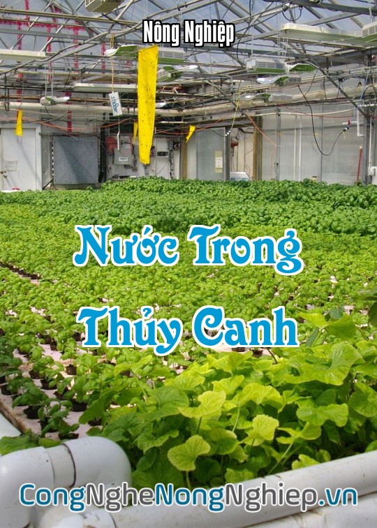 Ảnh bìa sách Nước Trong Thủy Canh