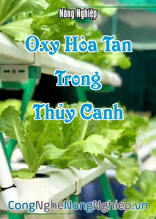 Ảnh bìa sách Oxy Hòa Tan Trong Thủy Canh