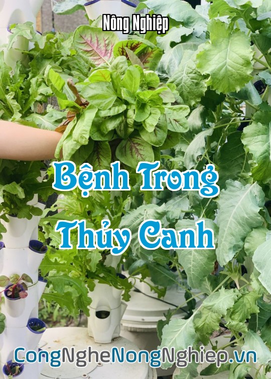 Ảnh bìa sách Bệnh Trong Thủy Canh