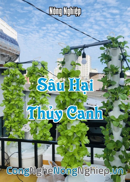 Ảnh bìa sách Sâu Hại Thủy Canh