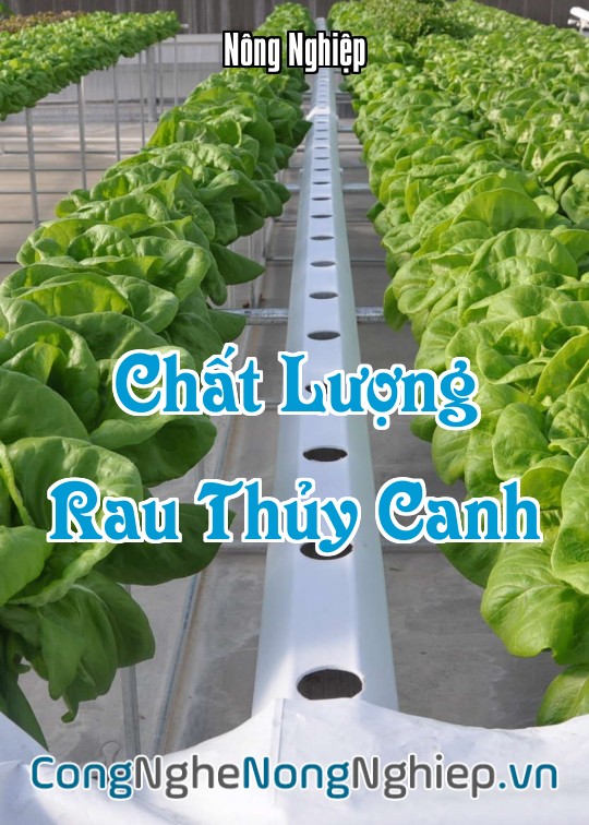 Ảnh bìa sách Chất Lượng Rau Thủy Canh