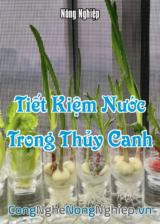 Ảnh bìa sách Tiết Kiệm Nước Trong Thủy Canh