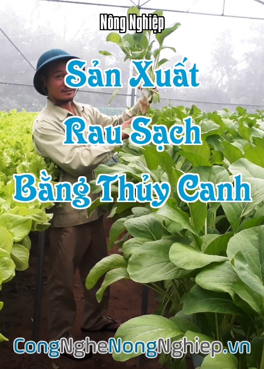 Ảnh bìa sách Sản Xuất Rau Sạch Bằng Thủy Canh