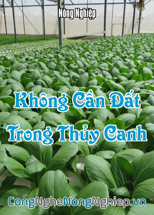 Ảnh bìa sách Không Cần Đất Trong Thủy Canh
