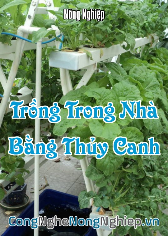 Ảnh bìa sách Trồng Trong Nhà Bằng Thủy Canh
