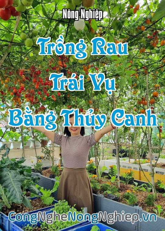 Ảnh bìa sách Trồng Rau Trái Vụ Bằng Thủy Canh