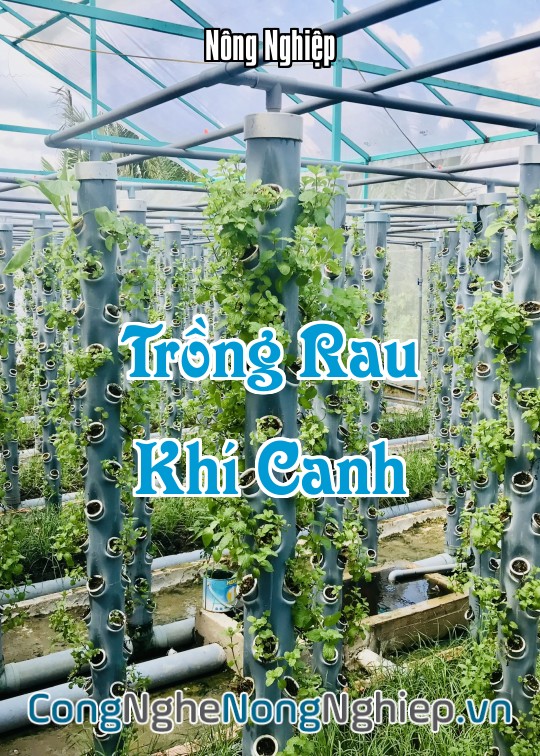 Ảnh bìa sách Trồng Rau Khí Canh