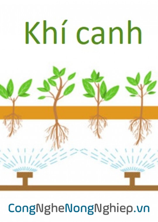 Ảnh bìa sách Khí Canh Là Gì?
