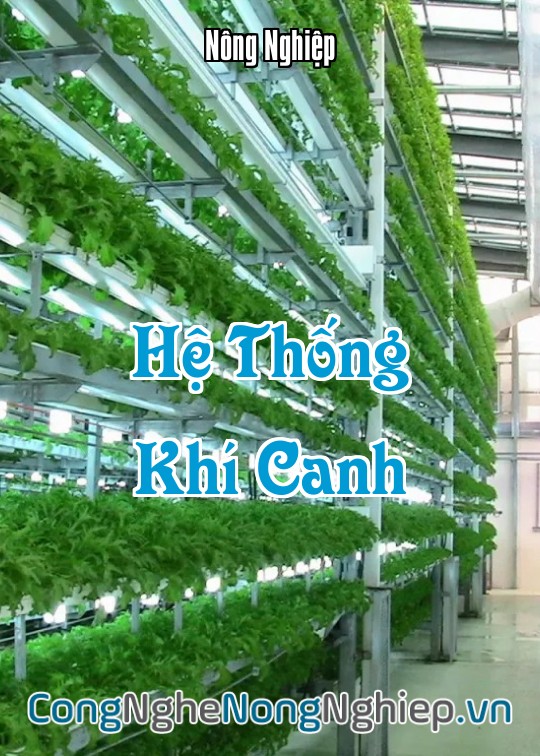 Ảnh bìa sách Hệ Thống Khí Canh