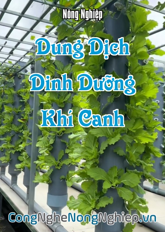 Ảnh bìa sách Dung Dịch Dinh Dưỡng Khí Canh