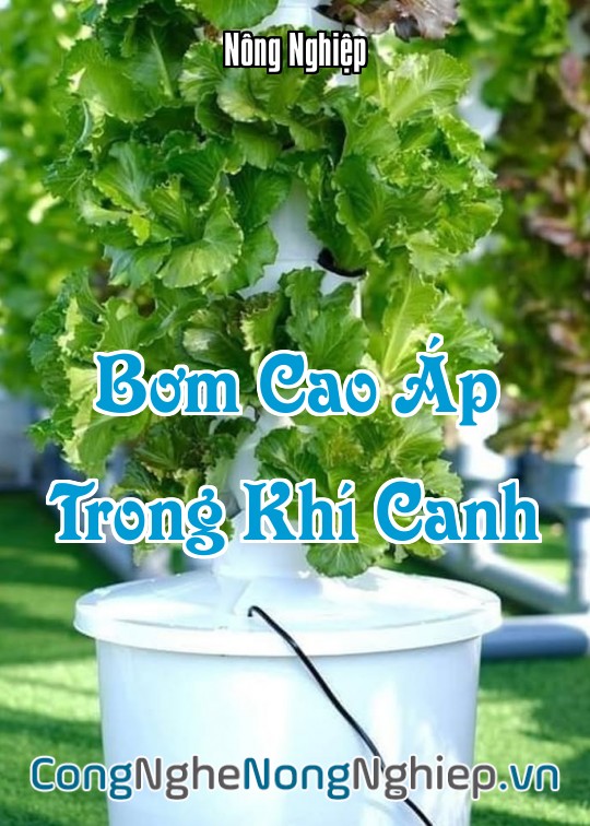 Ảnh bìa sách Bơm Cao Áp Trong Khí Canh
