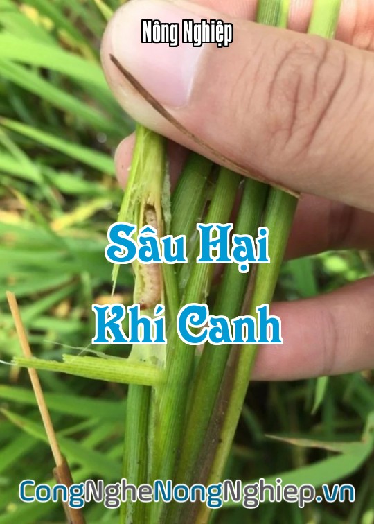 Ảnh bìa sách Sâu Hại Khí Canh