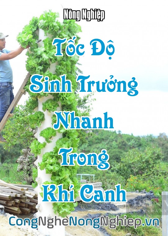 Ảnh bìa sách Tốc Độ Sinh Trưởng Nhanh Trong Khí Canh