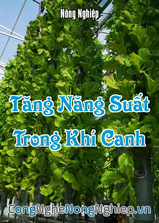 Ảnh bìa sách Tăng Năng Suất Trong Khí Canh