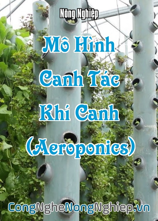 Ảnh bìa sách Mô Hình Canh Tác Khí Canh (Aeroponics)