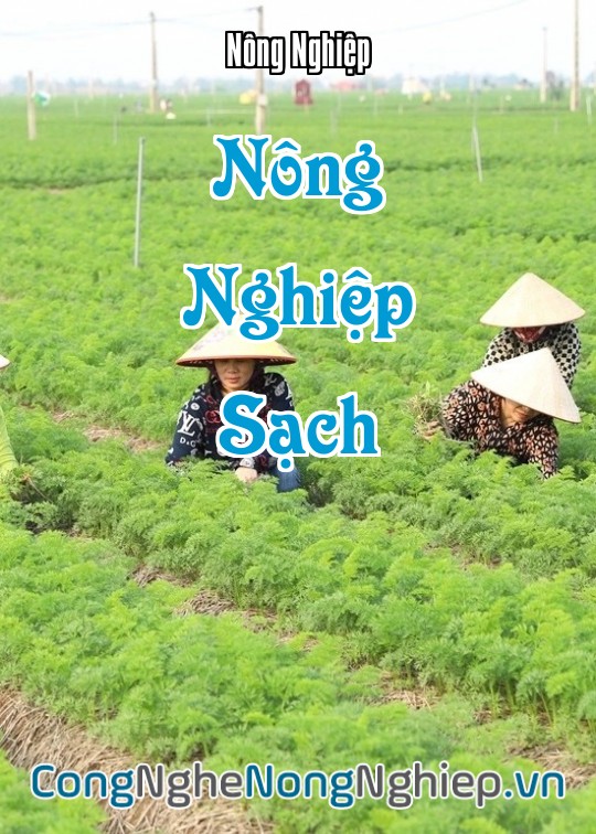 Ảnh bìa sách Nông Nghiệp Sạch