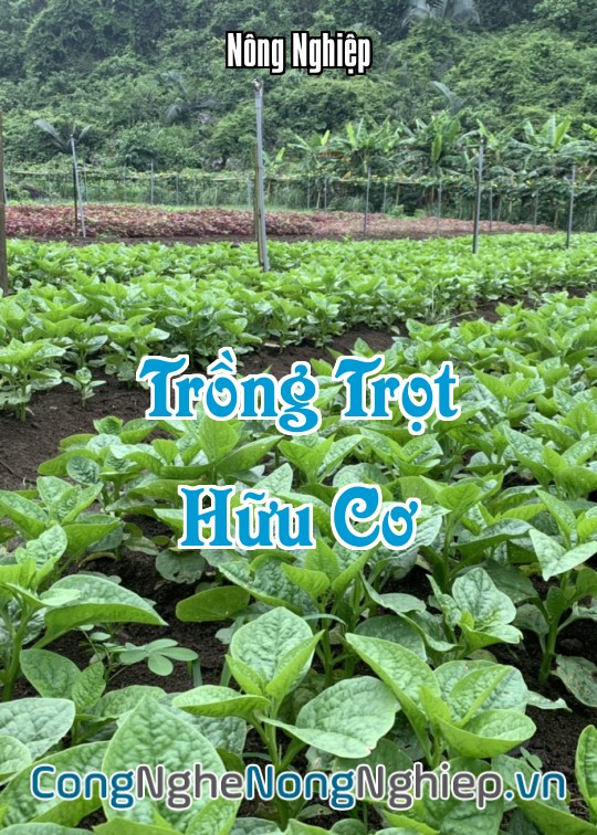 Ảnh bìa sách Trồng Trọt Hữu Cơ