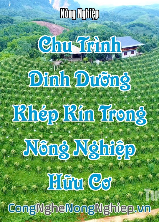 Ảnh bìa sách Chu Trình Dinh Dưỡng Khép Kín Trong Nông Nghiệp Hữu Cơ