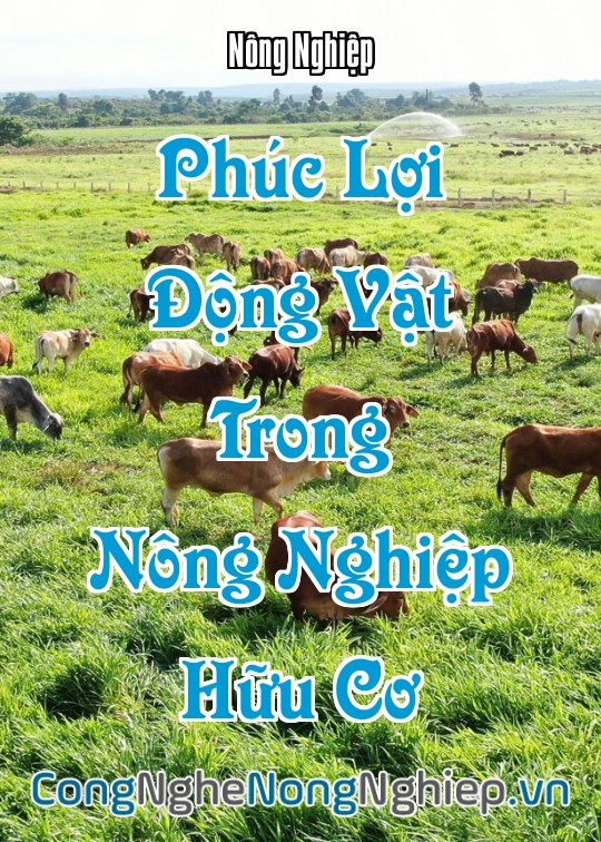 Ảnh bìa sách Phúc Lợi Động Vật Trong Nông Nghiệp Hữu Cơ