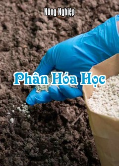 Ảnh Phân Hóa Học