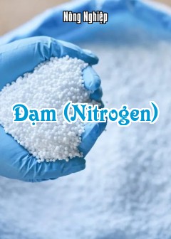 Ảnh Đạm (Nitrogen)