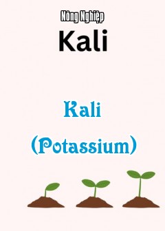 Kali (Potassium)