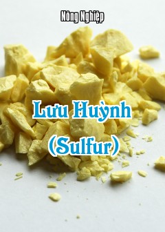 Lưu Huỳnh (Sulfur)