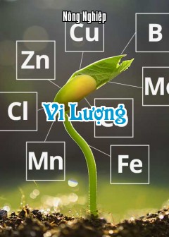 Vi Lượng