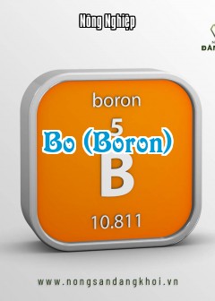 Bo (Boron)