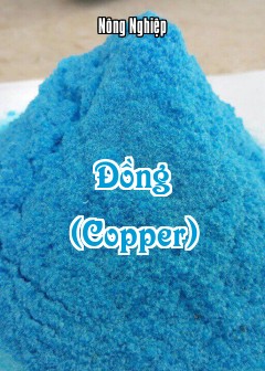 Đồng (Copper)