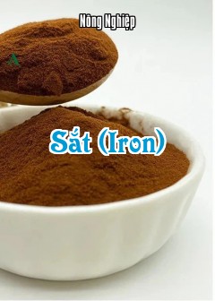 Sắt (Iron)