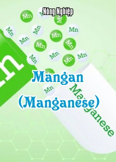 Mangan (Manganese)